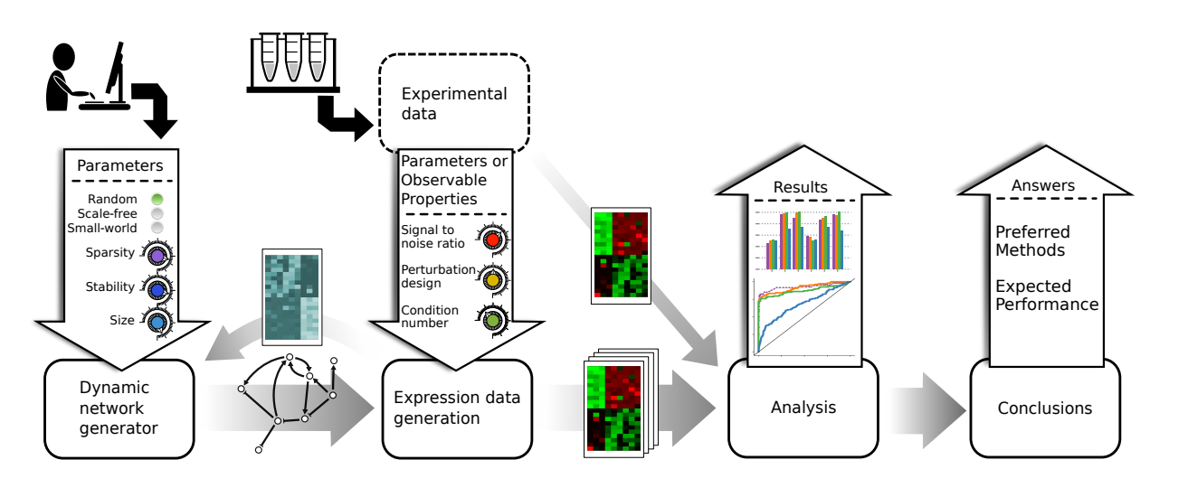 Schematic workflow of network and data generation followed by analysis in GeneSPIDER